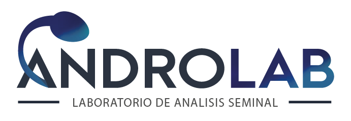 Aula Virtual